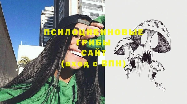 экстази Алексин