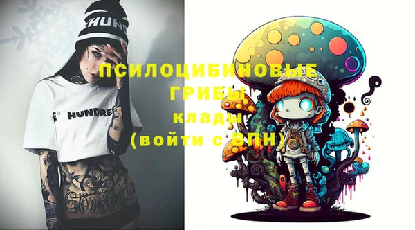 гидропоника Арсеньев
