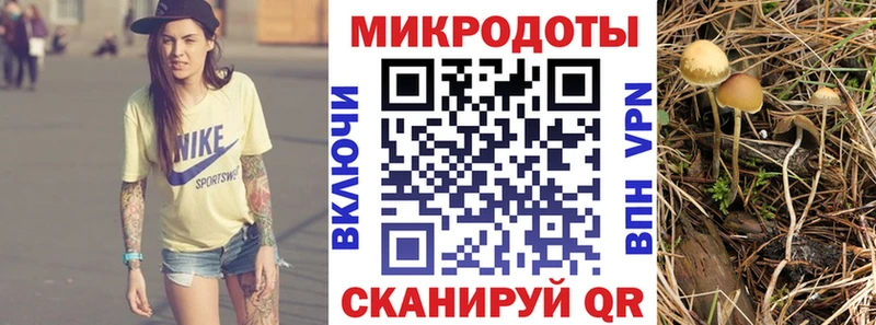 Псилоцибиновые грибы MAGIC MUSHROOMS  сайты даркнета клад  Покачи  ссылка на мегу рабочий сайт 